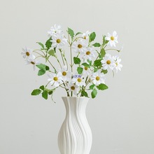 ���W�մɻ�ƿ��ɫ�[���͏d�廨�p�ݸ��OӋ��С����ș�r��õ��