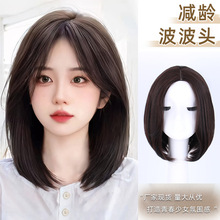 ���w�зֲ����^�ٰlȫ�^�׷���l�p�g�ȿ���피ٰl��͸��F؛���l