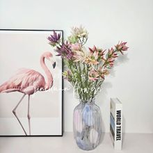 ���滨���ﻨ�Ҿ��b[����c���ò廨���ӻ��Ĕz���߻�Y�ò���