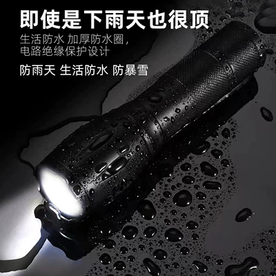 Flashlight, UV fənərlər