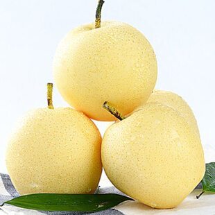 ���A�|���ʹ��� 250g~350g/��*3��