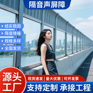 Sound Barrier Bridge Metal Sound Wall Overpass Community Sound Barrier Light Rail Railway Highway Sound Barrier Manufacturer