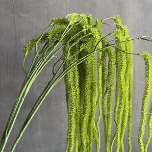 ���洹����� ������� �L֦�����z�����廨��Y����ֲ�����ٱڒ�