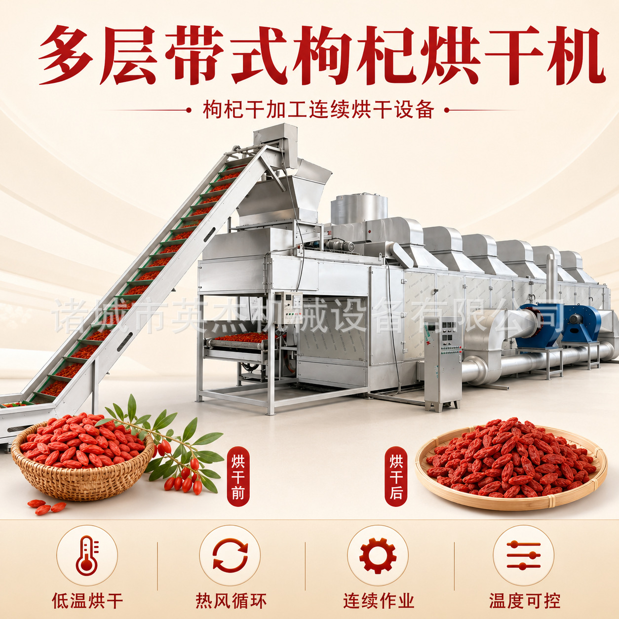 Manufacturer of Multi-Layer Belt-Type Hot Air Circulation Continuous Drying Equipment for Processing and Drying Goji Berries