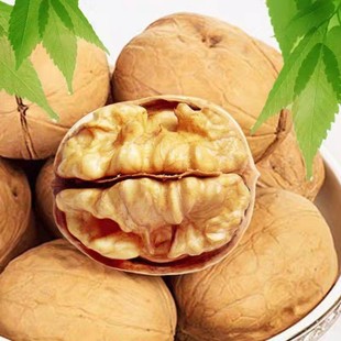 ����185��Ƥ�����خa�ɹ���؛��Ƥ�������l���b���������ܽ���