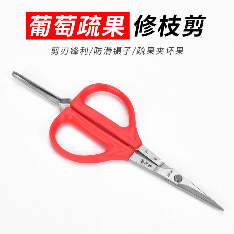 不锈钢摘果剪采果剪柑橘葡萄火龙果稀果剪果子采摘两用稀花葡萄剪