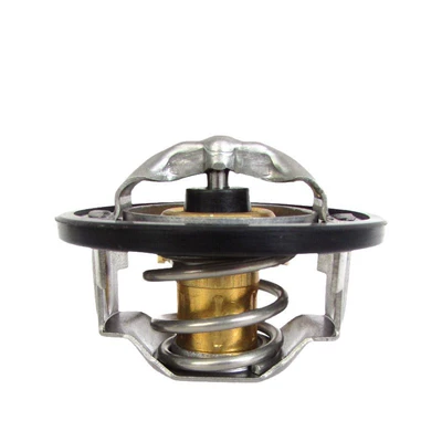8972631940 97241130, Thermostat