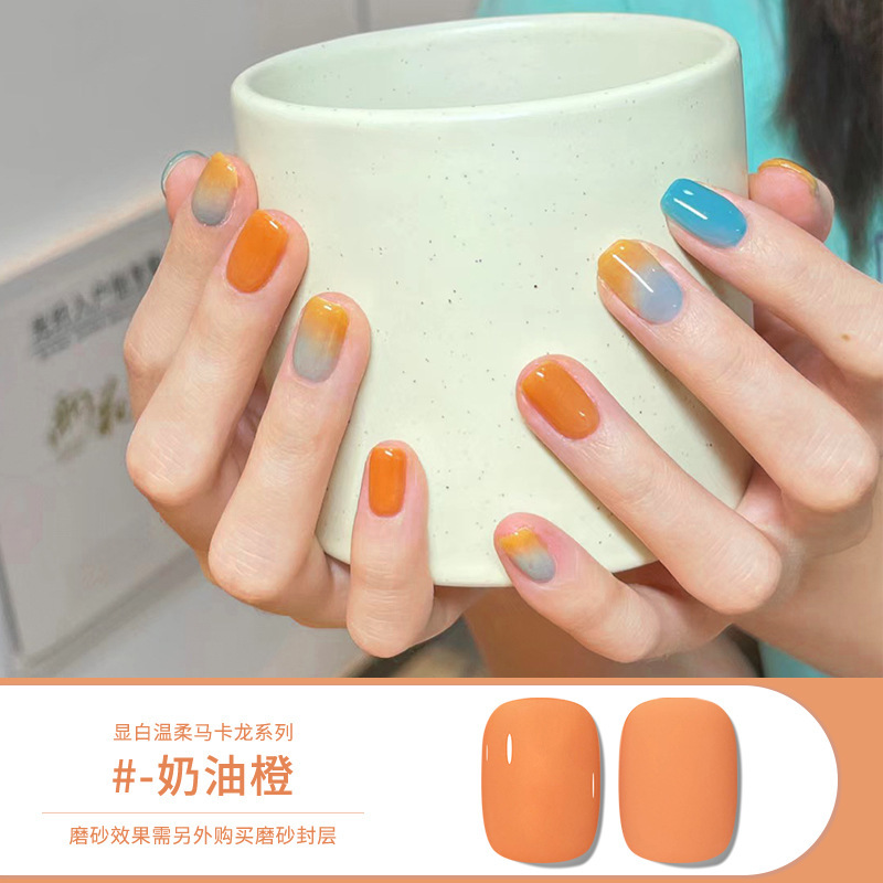 Macaron-10