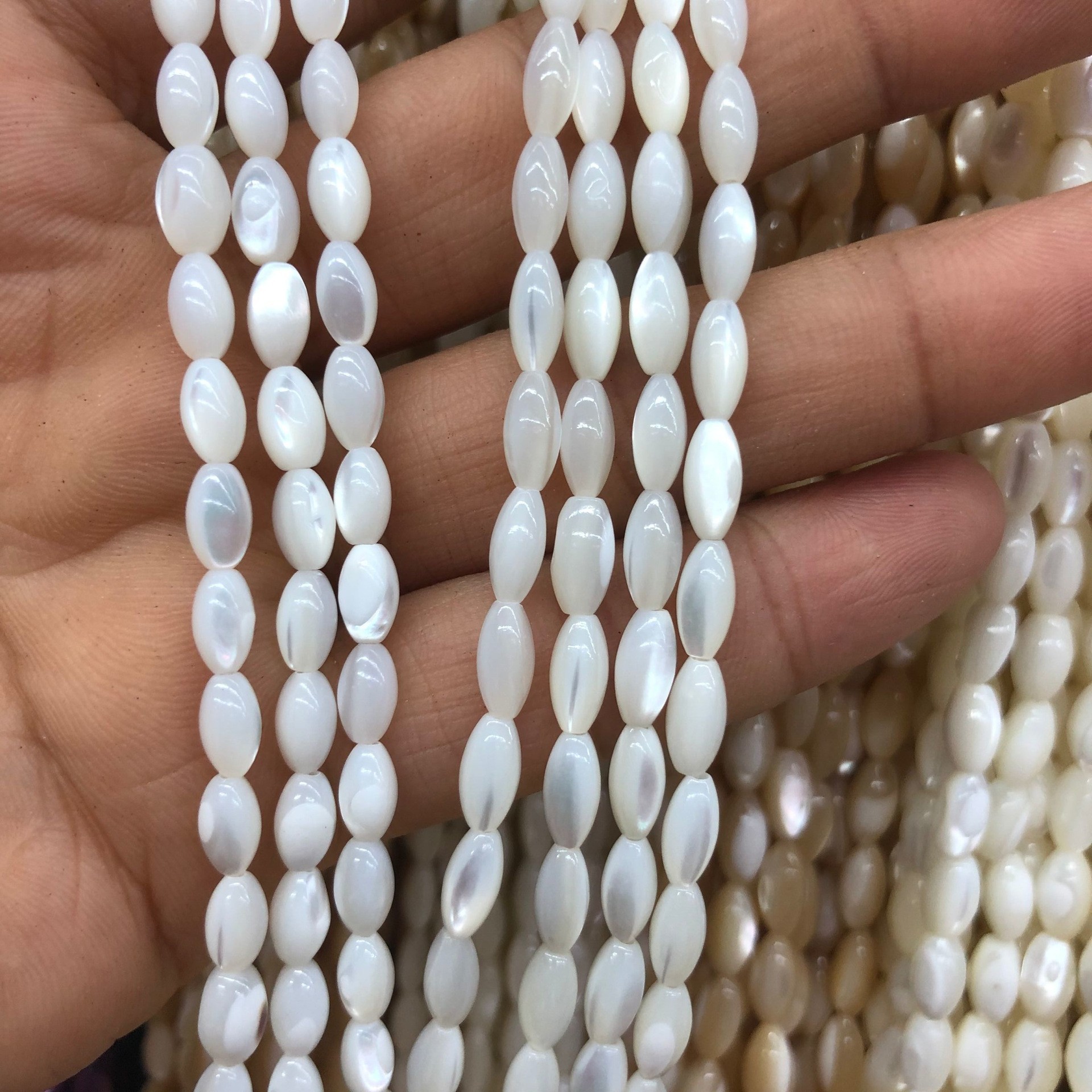 马蹄螺米珠-白色2