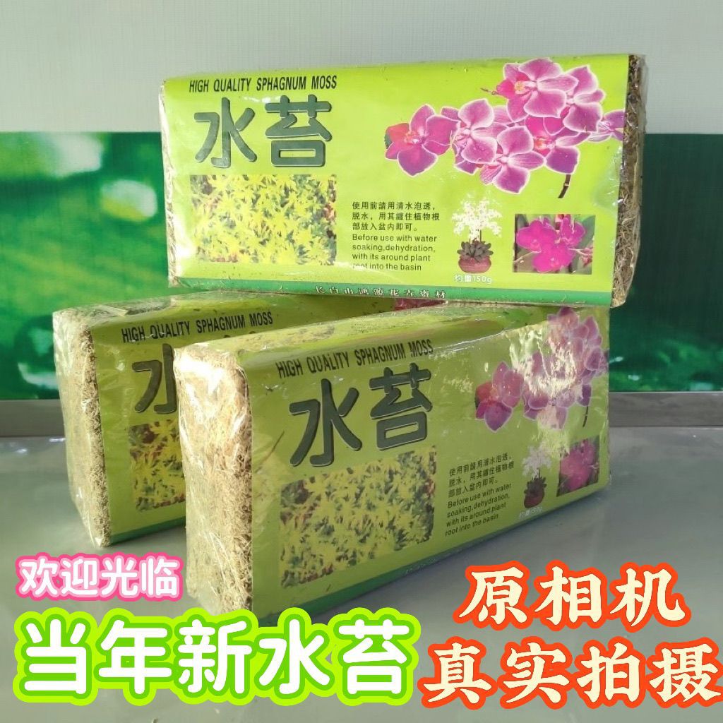 水苔蝴蝶兰土大包兰花石斛食虫草植物无菌栽培基质厂家批发热卖