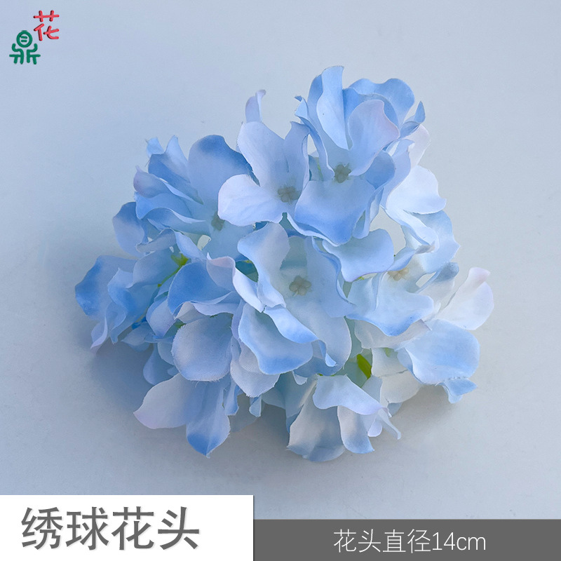 66 수국 머리 YY 하늘 푸른