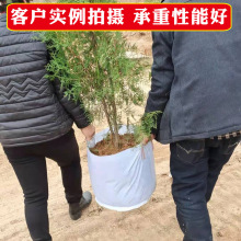 �޷Ĳ�ֲ��������������ֲ���Ӻ�ëձ����Ͱ��̨��ֲ���羳�����