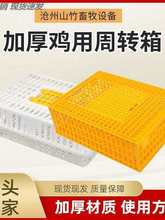 室外鸽子笼子运输笼塑料周转箱鸡鸭筐养殖场鹅用室外用大号