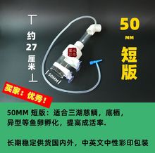 现货50MM短版三湖慈鲷 异型底栖观赏鱼口孵鱼鱼卵孵化器小鱼繁殖