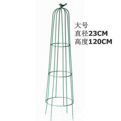 원뿔형 녹색 대형