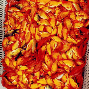 ��ˮС���~�^�p�~���N�\���~С�^�p�~�ͻ���ˮ�~��t���~