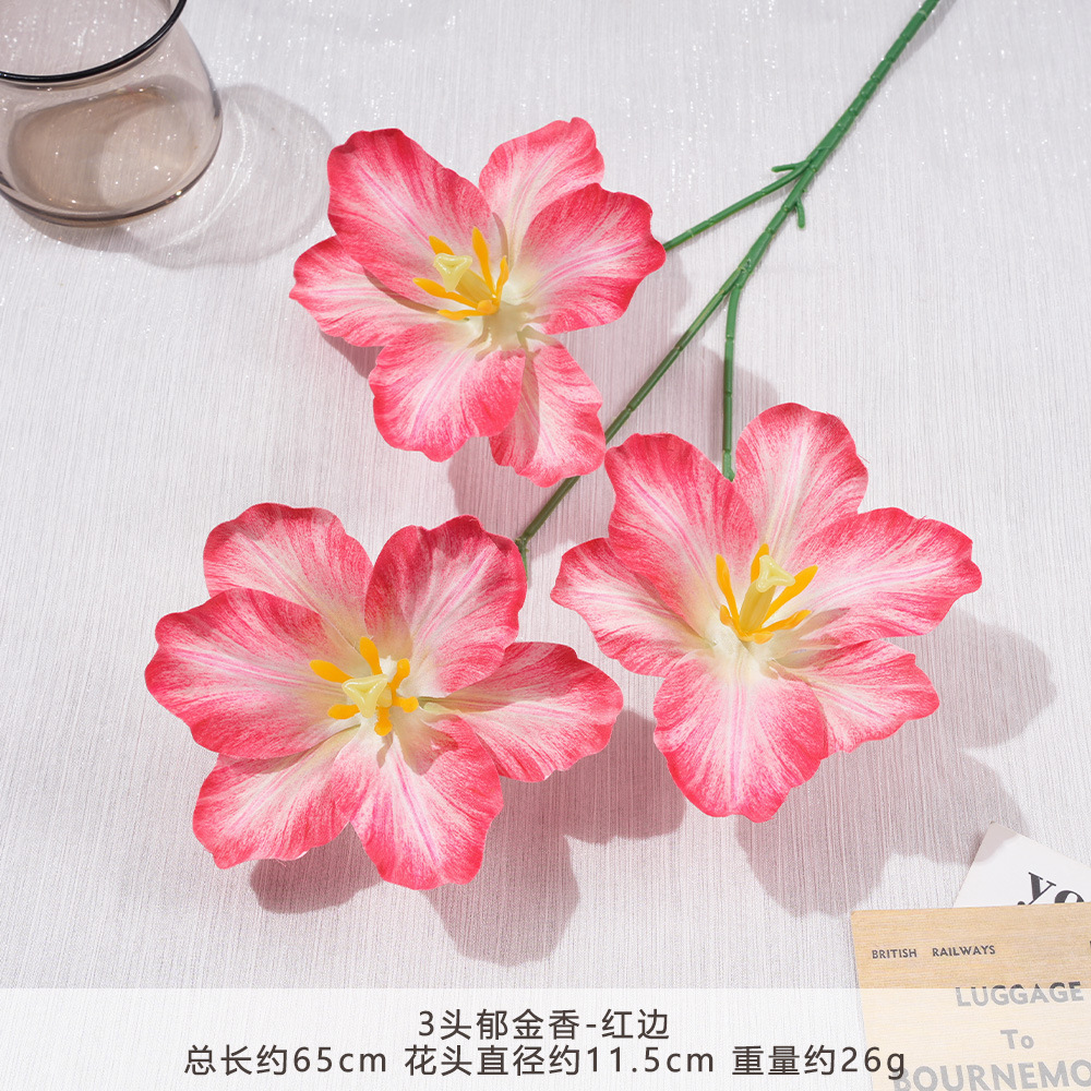 Fy-3 tulips-red edge