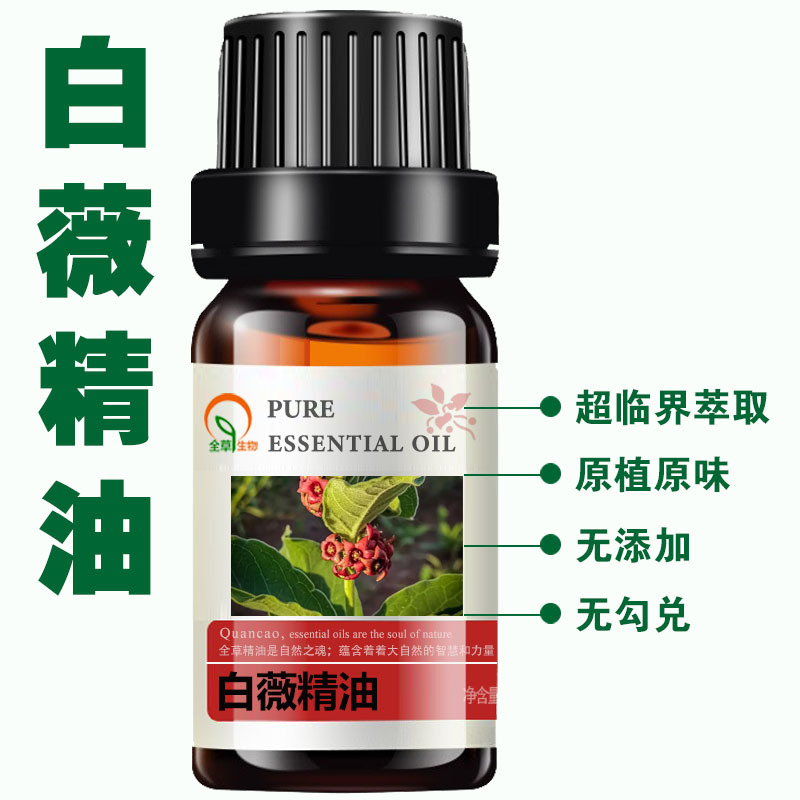 白薇精油主图