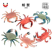 Реалистичная морская животная модель, обучающая игрушка, морское дно