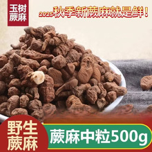 ��Ұ������ާ��5g�＾�������˅��������ຣ�Ҝ����5