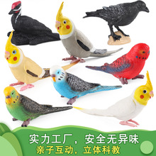 ����Ұ������ģ�����P�W�^�w���B��������ă�ͯ�J֪������ߔ[��