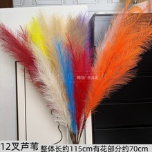 ���柟���JȔ����Ȕ�_�I���@�b�֦���W�L�����JȔ���滨���l