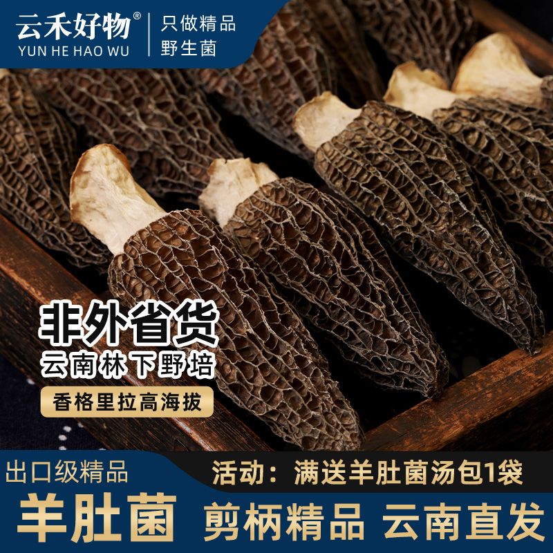 云禾好物羊肚菌干货新鲜云南特产羊肚菇羊肚茵非野生旗舰店羊肚蘑