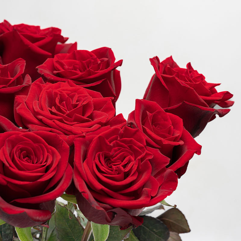 玫瑰花鲜花云南昆明基地批直发百合向日葵红豆家用鲜切水养插|undefined
