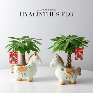 �R�ϰlؔ2026���¿�lؔ��С�����k������ؔ�Gֲ������Bֲ�ﻨ��