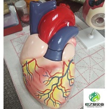 ţ���K���ʷŴ�ģ�� ţ���K����ģ�� ����̌W����ģ��