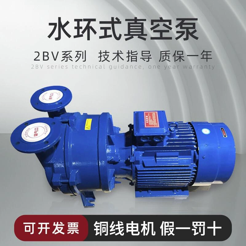 Водокольцевой вакуумный насос серии Langzhou Zibo Boshan 2BV, промышленный высоковакуумный насос с циркуляцией воды, компрессор