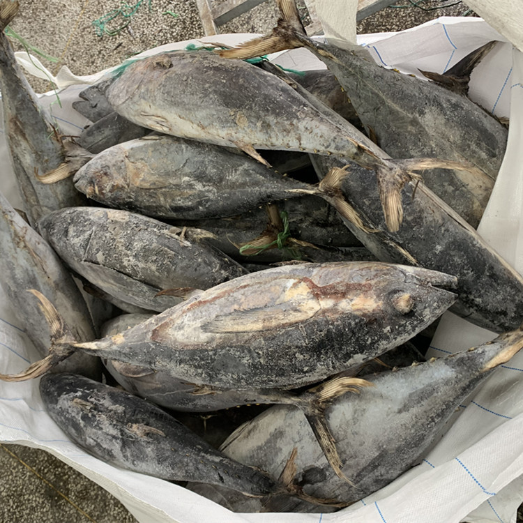 12bfa93ed5385c3172fd73cbcab1a9