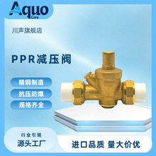 ���y�TPPR�p���yDN20���̷�й©�p���y �S�~�w�p��ӟ��ۜp���y