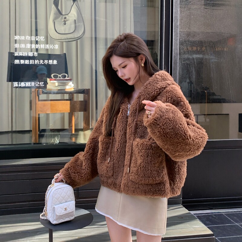 New Teddy Bear Lamb Wool Coat for Women, Short Hooded Plush Fur Jacket, Winter Warm Fashion Trend New Teddy Bear Lamb Wool Coat for Women, Short Hooded Plush Fur Jacket, Winter Warm Fashion Trend
