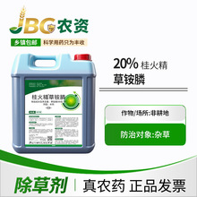 50Ͱ20%𾫲ݰװ}@ߝȜԳ݄