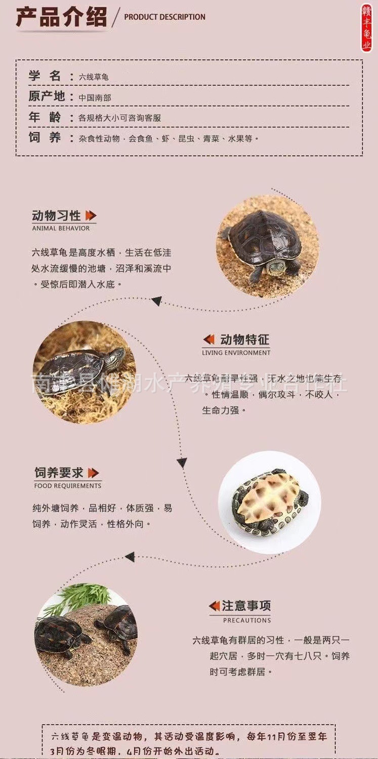 微信图片_20221104125824