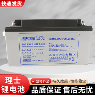 ��ʿ늳���늳�DJM1265Sֱ����12V65AH EPS��늙��C��UPS��늳�