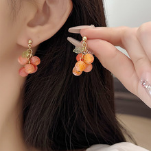 夏日可爱缤纷多彩葡萄耳环925银钩ins森系耳饰甜美长款珠珠耳坠女