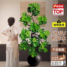 ���;Gֲ�������_ľ�͏d����������ľ�Z�Ʋ��҃�����ļ�����ֲ��