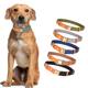 First-layer cowhide pet collar contrasting color stitching dog collar medium and large comfortable dog leash Amazon explosions