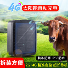 4G太阳能牛羊GPS定位器牧区牛羊马防走丢被盗畜牧业专用防盗仪器