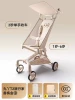 T2-2 champagne gold+khaki color cushion