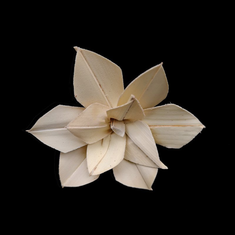 4.5cm月季花