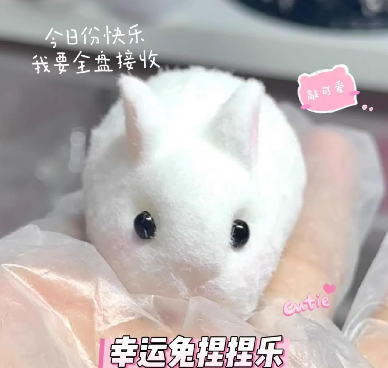 행운의 토끼【진흙 느낌】