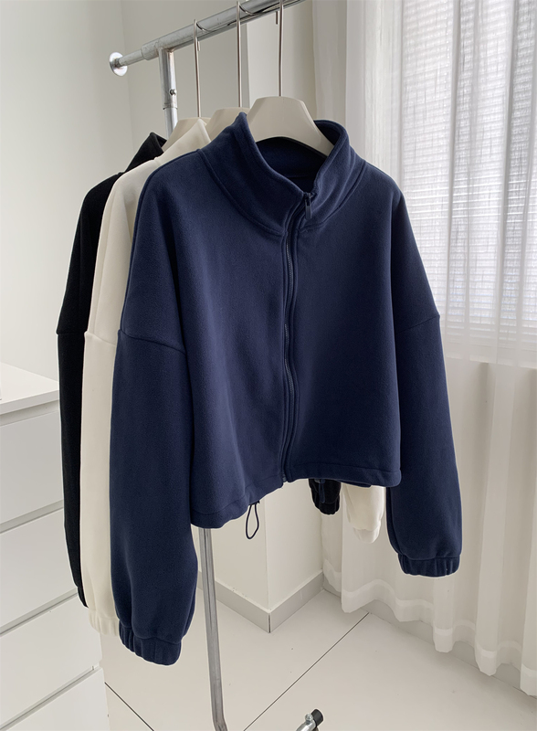 Autumn and Winter Thickeneded Warm Polar Fleece Sweatshirt Jacket for Women Simple Korean Style Stand-Up Collar Zipper Cardigan Fleece-Lined Short Top