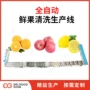 水果橙子洗果机