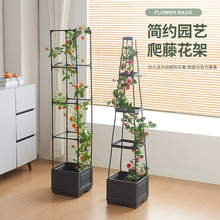 ��݆��������ƄӷNֲ���̨�N�������M�ϷN�������Q�羳���l