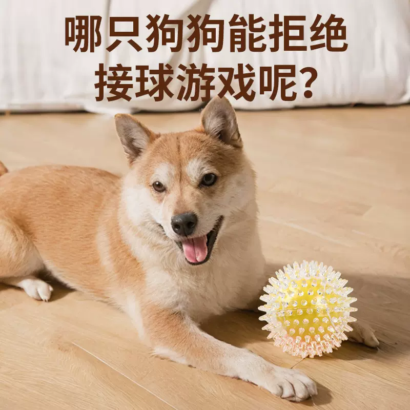 宠物玩具球TPR带刺运动球中球自嗨解闷磨牙洁齿狗狗玩具跨境爆款