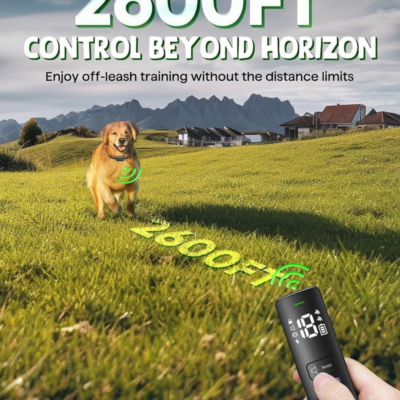 ペットの訓練には犬が必要です。|undefined