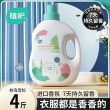 ֲ�o��ˮϴ����Һ2kg/ƿ������Ư��������坍ϴ��Һ�S�Ҵ������l